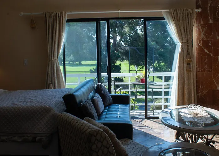 Large Luxury Studio With View In Santa Monica