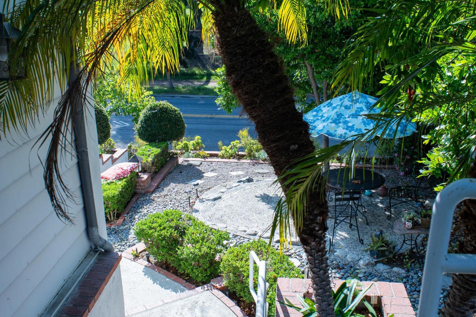 Large Luxury With View In