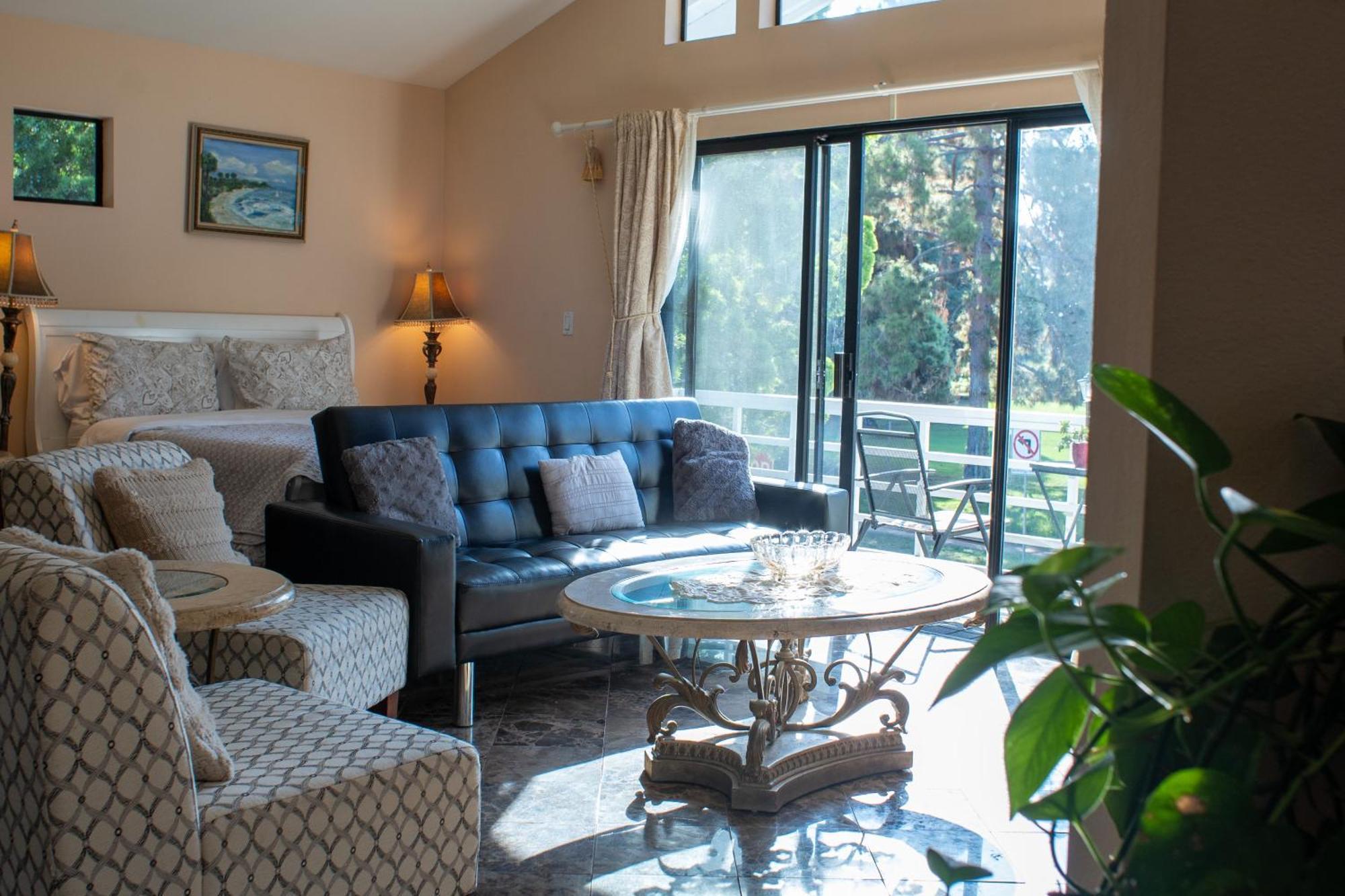 Large Luxury With View In